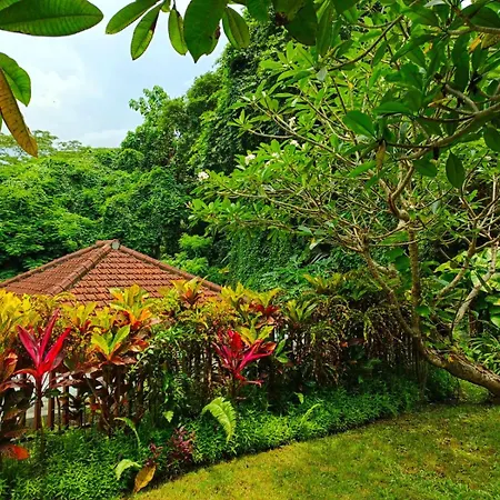 Malathi Private House With Jungle View Ubud (Bali) Exterior photo