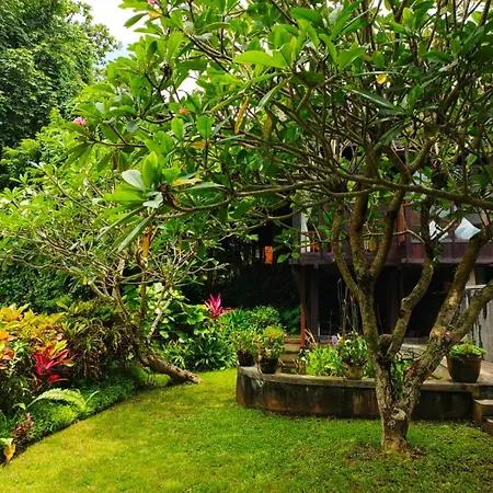 Malathi Private House With Jungle View Ubud (Bali) Exterior photo
