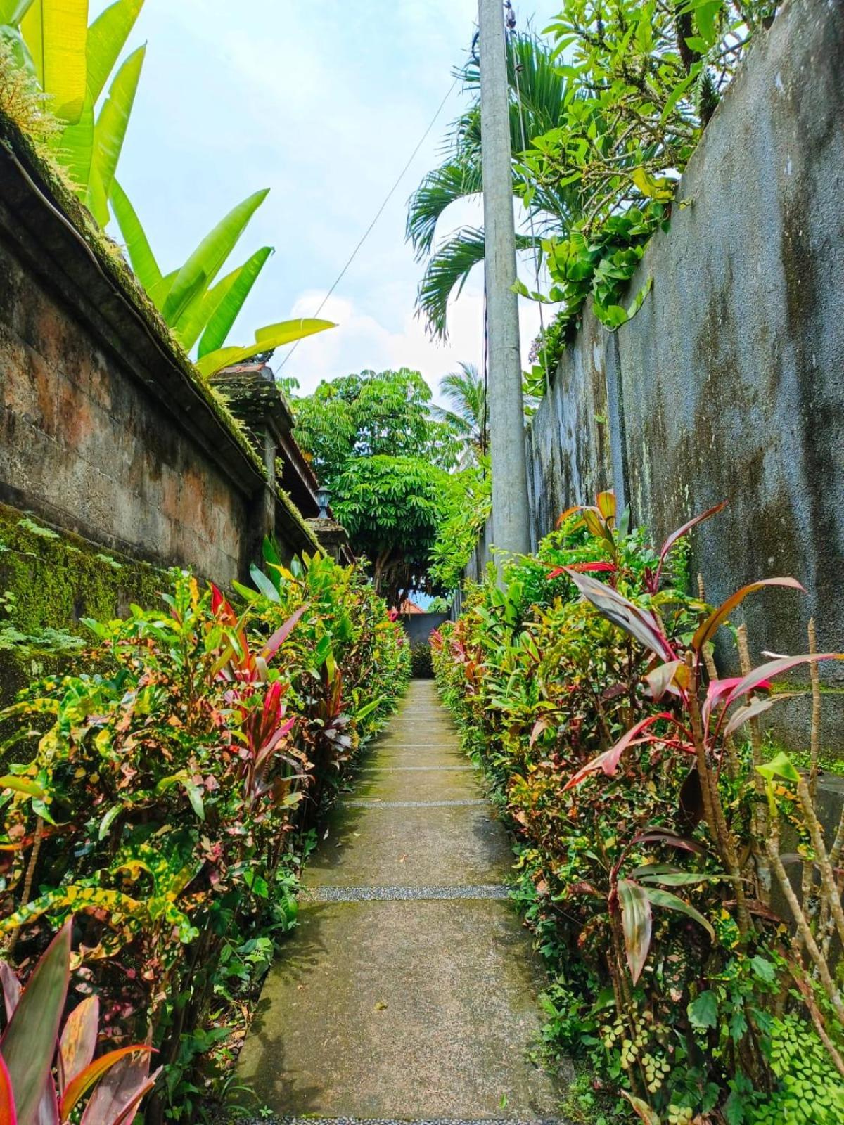 Malathi Private House With Jungle View Ubud (Bali)