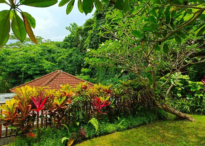 Malathi Private House With Jungle View