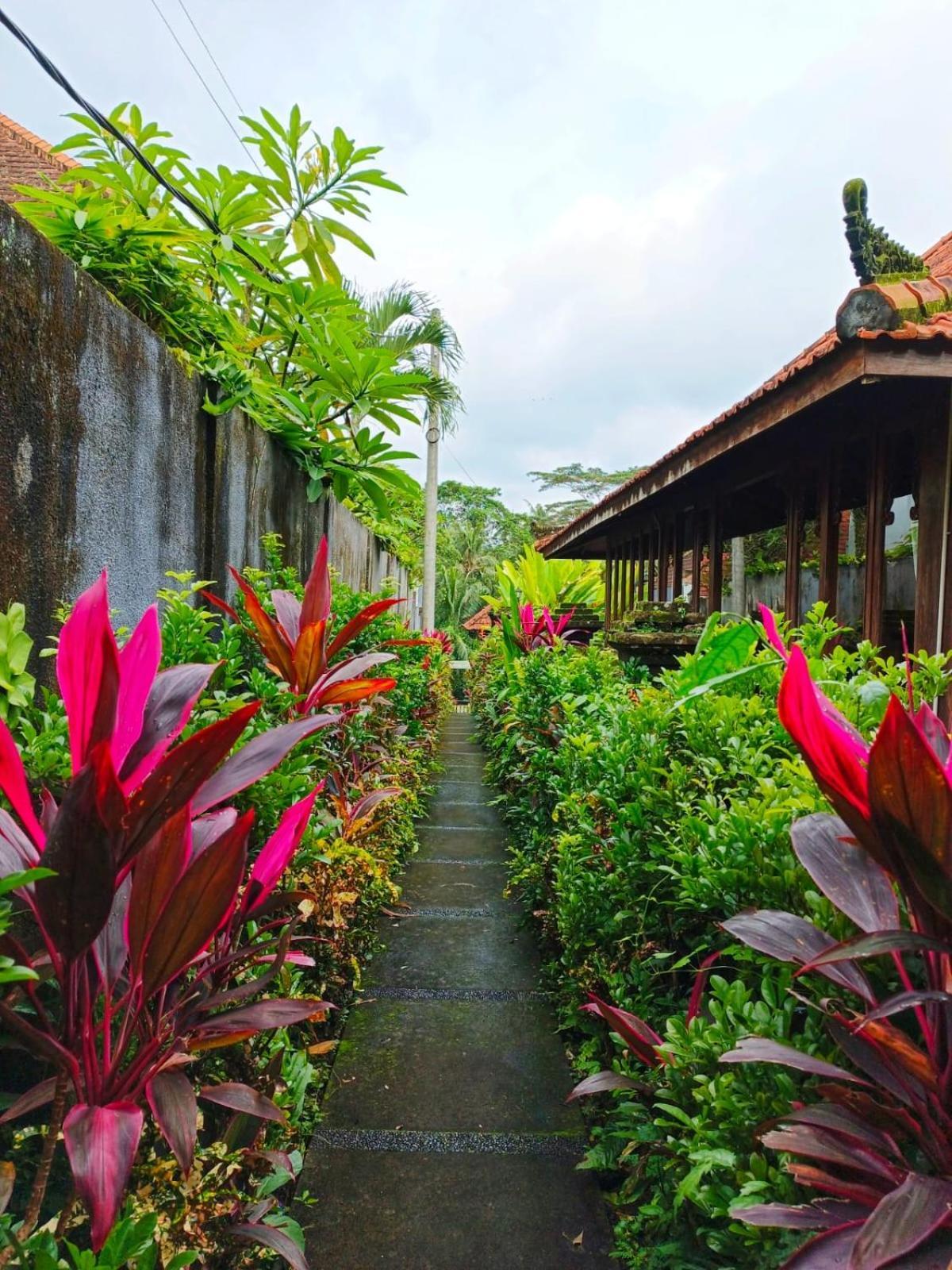 विला Malathi Private House With Jungle View